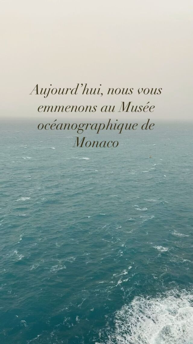 ☔️ Idée sortie avec ce temps pluvieux ! Direction Monaco et son célèbre musée océanographique ! Vous pourrez y voir de nombreuses espèces marines ainsi qu’une exposition sur le monde polaire 🦭

#hotelvendome #museeoceanographiquedemonaco #aquarium #poissons